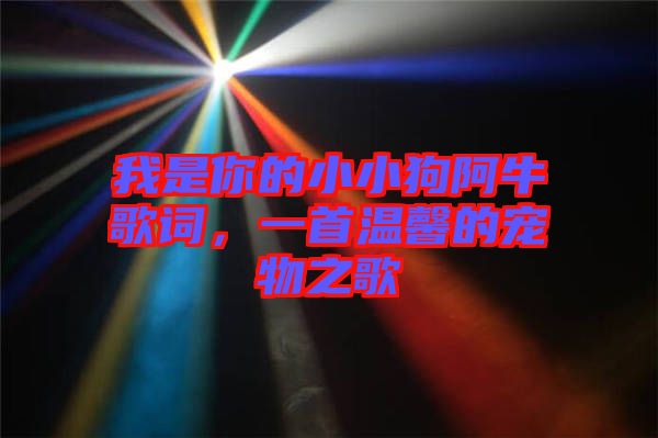 我是你的小小狗阿牛歌詞，一首溫馨的寵物之歌