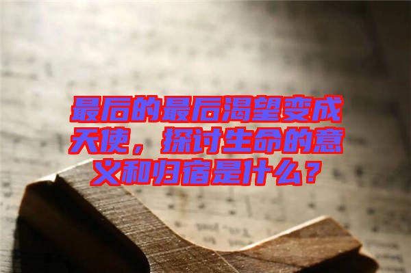 最后的最后渴望變成天使，探討生命的意義和歸宿是什么？