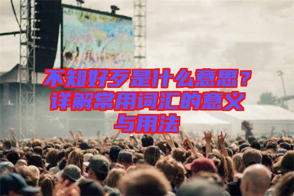 不知好歹是什么意思？詳解常用詞匯的意義與用法