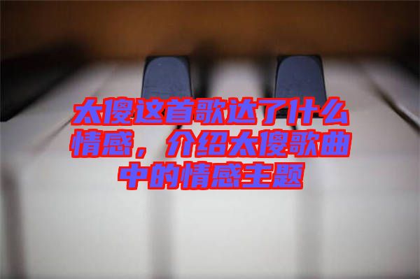 太傻這首歌達(dá)了什么情感，介紹太傻歌曲中的情感主題