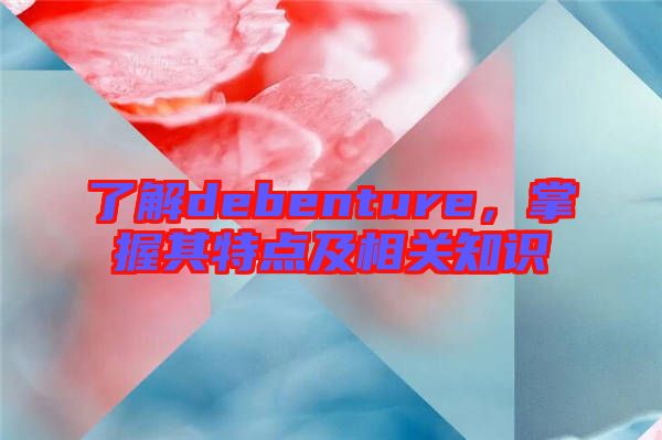 了解debenture，掌握其特點及相關(guān)知識