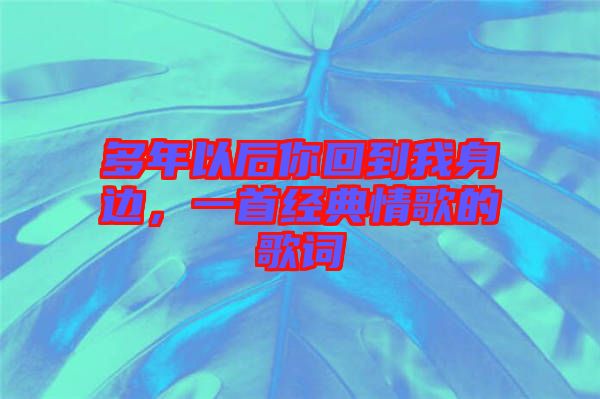 多年以后你回到我身邊，一首經(jīng)典情歌的歌詞