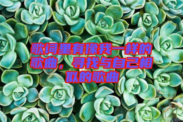 歌詞里有像我一樣的歌曲，尋找與自己相似的歌曲