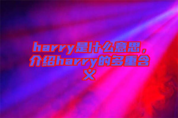 harry是什么意思，介紹harry的多重含義