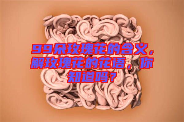 99朵玫瑰花的含義，解玫瑰花的花語，你知道嗎？