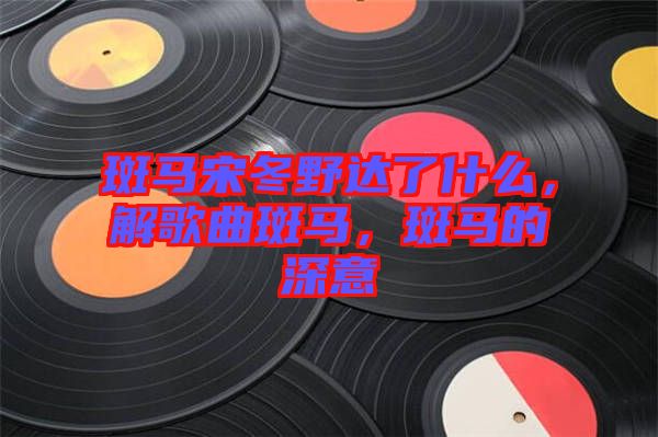 斑馬宋冬野達(dá)了什么，解歌曲斑馬，斑馬的深意