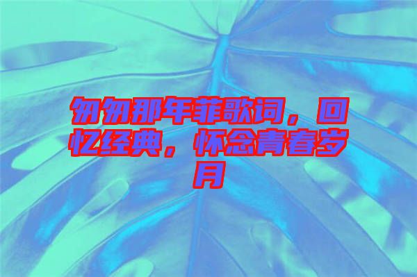 匆匆那年菲歌詞，回憶經(jīng)典，懷念青春歲月