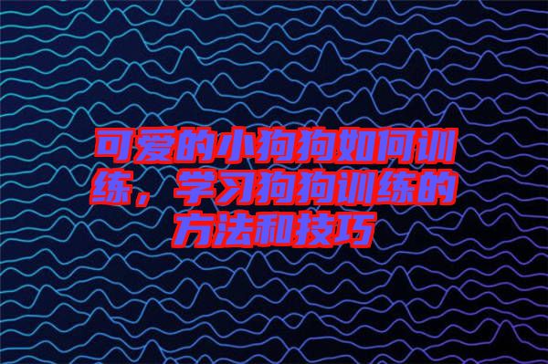 可愛的小狗狗如何訓(xùn)練，學(xué)習(xí)狗狗訓(xùn)練的方法和技巧