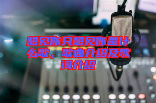 想見你只想見你是什么歌，歌曲介紹及歌詞介紹