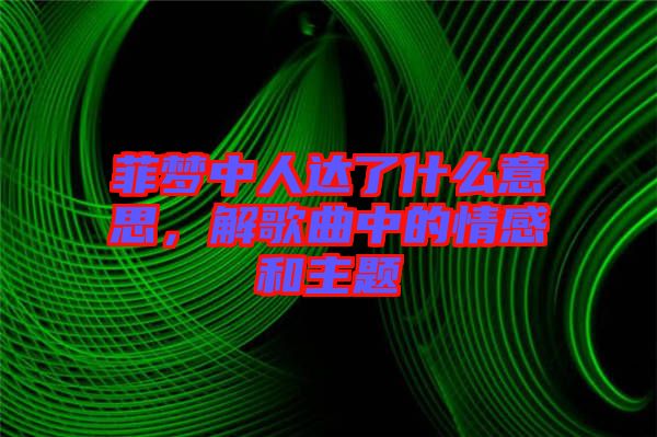 菲夢中人達(dá)了什么意思，解歌曲中的情感和主題