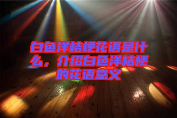 白色洋桔?；ㄕZ是什么，介紹白色洋桔梗的花語意義