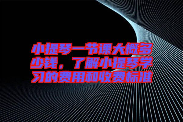 小提琴一節(jié)課大概多少錢，了解小提琴學習的費用和收費標準