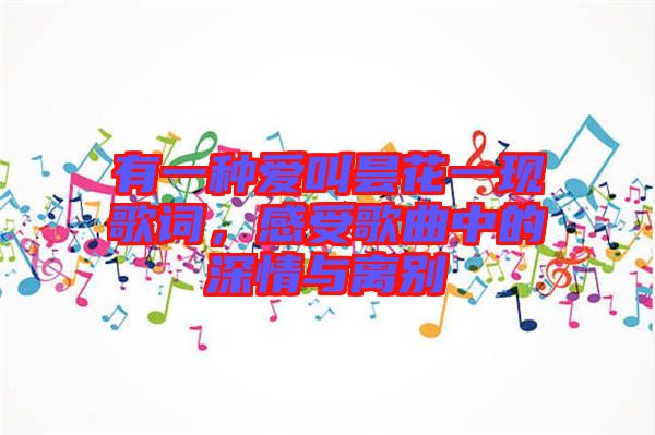 有一種愛叫曇花一現(xiàn)歌詞，感受歌曲中的深情與離別