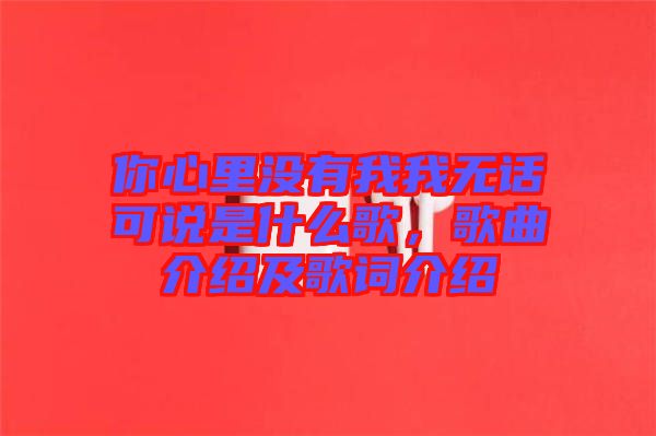 你心里沒有我我無話可說是什么歌，歌曲介紹及歌詞介紹