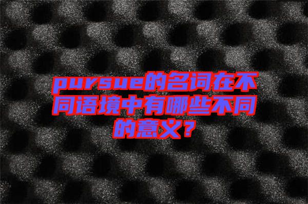 pursue的名詞在不同語(yǔ)境中有哪些不同的意義？