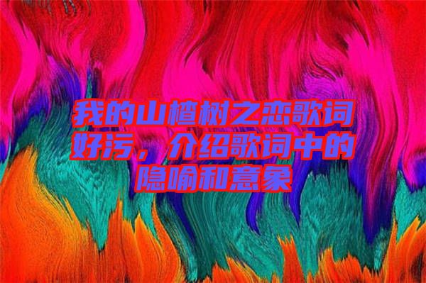 我的山楂樹之戀歌詞好污，介紹歌詞中的隱喻和意象