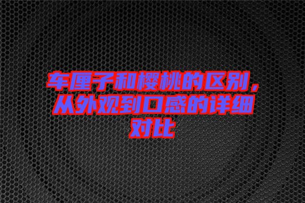 車?yán)遄雍蜋烟业膮^(qū)別，從外觀到口感的詳細(xì)對比