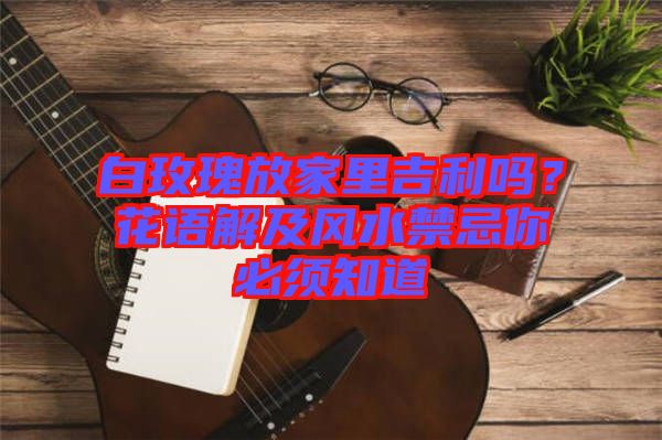 白玫瑰放家里吉利嗎？花語(yǔ)解及風(fēng)水禁忌你必須知道