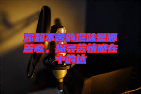 你知不苦的滋味是哪首歌，探尋苦情感在中的達