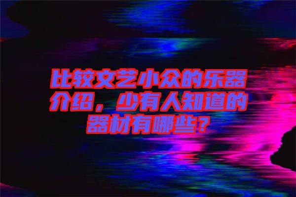 比較文藝小眾的樂(lè)器介紹，少有人知道的器材有哪些？