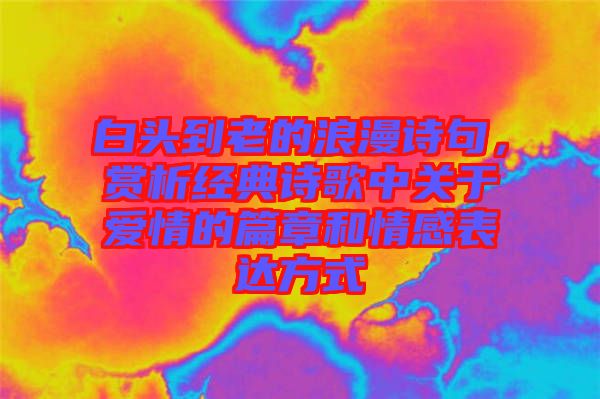 白頭到老的浪漫詩句，賞析經(jīng)典詩歌中關(guān)于愛情的篇章和情感表達方式