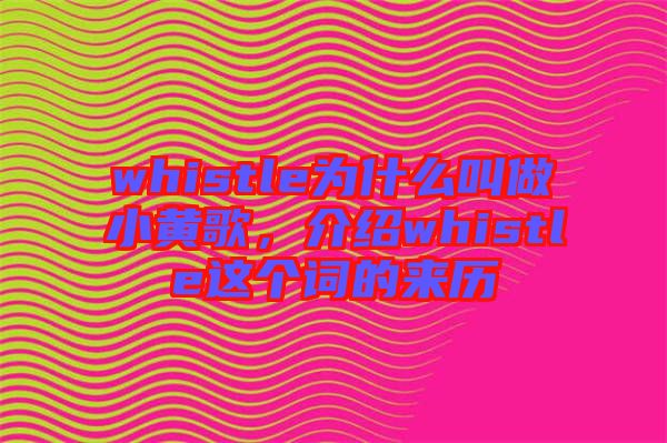 whistle為什么叫做小黃歌，介紹whistle這個詞的來歷