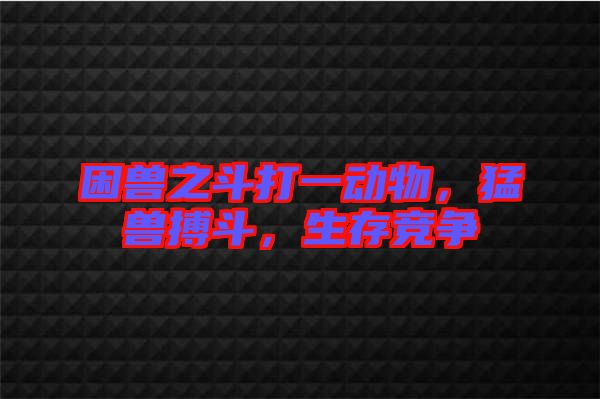 困獸之斗打一動物，猛獸搏斗，生存競爭