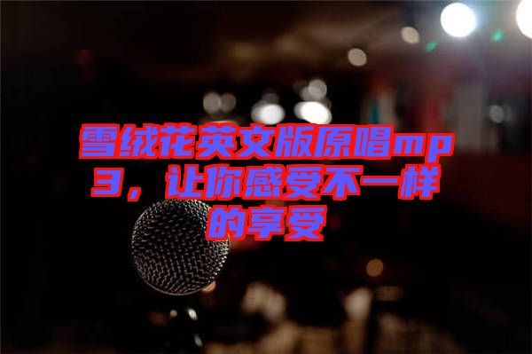 雪絨花英文版原唱mp3，讓你感受不一樣的享受