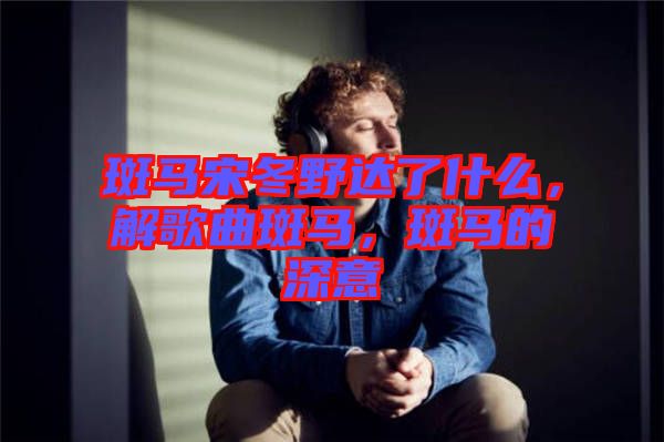 斑馬宋冬野達了什么，解歌曲斑馬，斑馬的深意