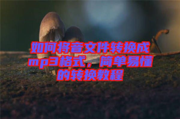 如何將音文件轉(zhuǎn)換成mp3格式，簡單易懂的轉(zhuǎn)換教程