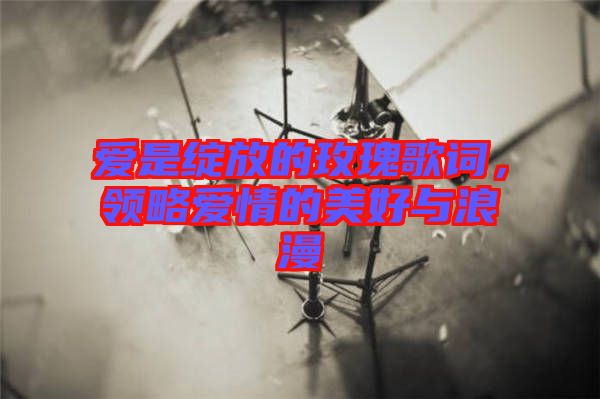 愛是綻放的玫瑰歌詞，領(lǐng)略愛情的美好與浪漫