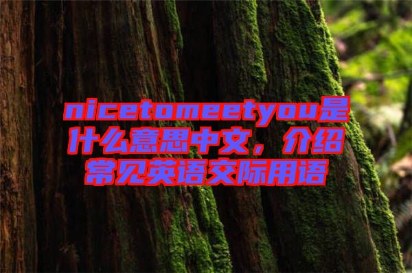 nicetomeetyou是什么意思中文，介紹常見英語交際用語