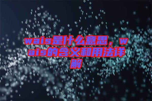 wais是什么意思，wais的含義和用法詳解