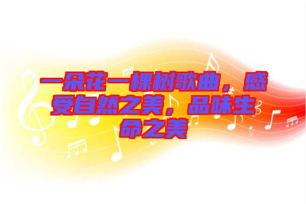 一朵花一棵樹歌曲，感受自然之美，品味生命之美