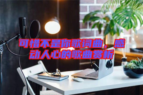 可惜不是你歌詞曲，感動(dòng)人心的歌曲賞析