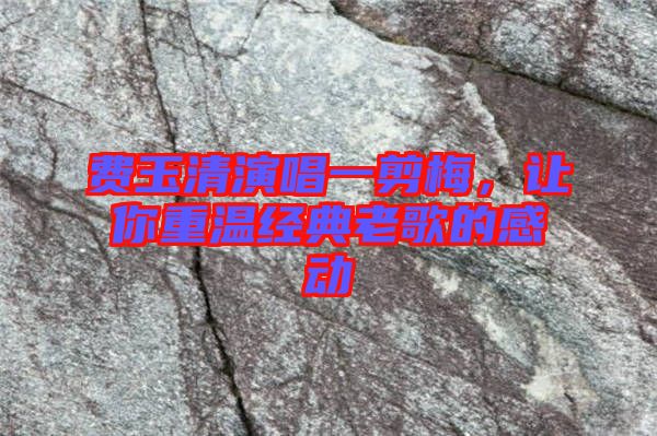 費玉清演唱一剪梅，讓你重溫經(jīng)典老歌的感動