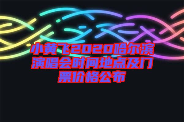 小黃飛2020哈爾濱演唱會(huì)時(shí)間地點(diǎn)及門票價(jià)格公布