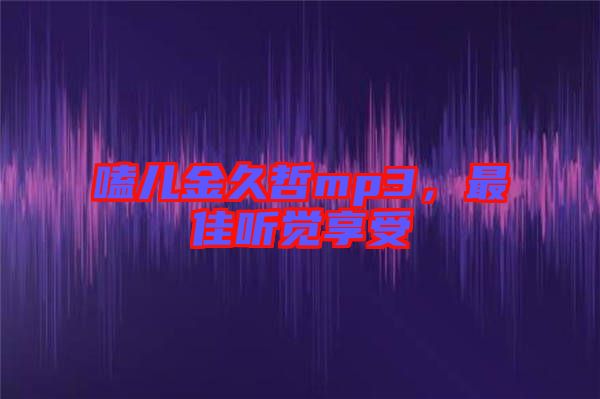 嗑兒金久哲mp3，最佳聽覺享受