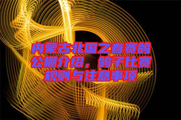 內(nèi)蒙古北國之春賽鴿公棚介紹，鴿子比賽規(guī)則與注意事項