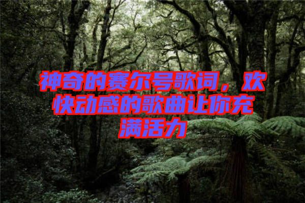 神奇的賽爾號(hào)歌詞，歡快動(dòng)感的歌曲讓你充滿(mǎn)活力