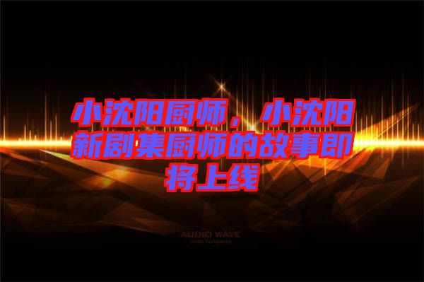 小沈陽廚師，小沈陽新劇集廚師的故事即將上線