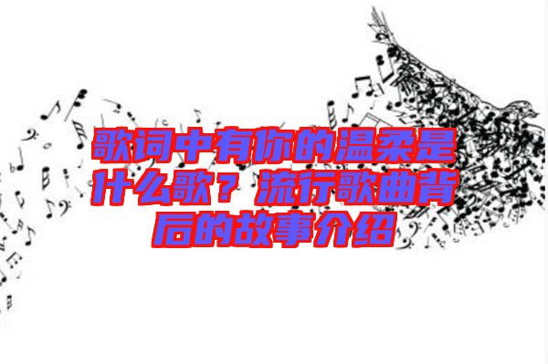 歌詞中有你的溫柔是什么歌？流行歌曲背后的故事介紹