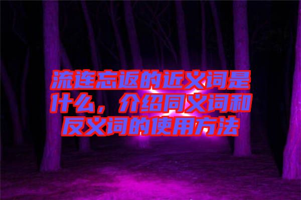 流連忘返的近義詞是什么，介紹同義詞和反義詞的使用方法