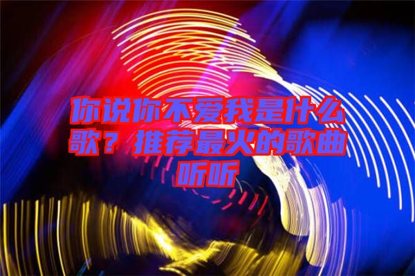 你說你不愛我是什么歌？推薦最火的歌曲聽聽