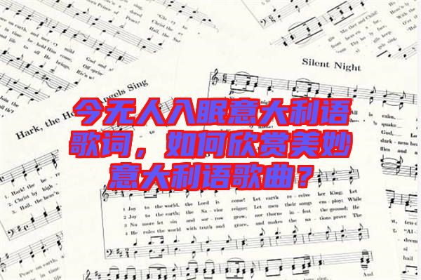 今無人入眠意大利語歌詞，如何欣賞美妙意大利語歌曲？