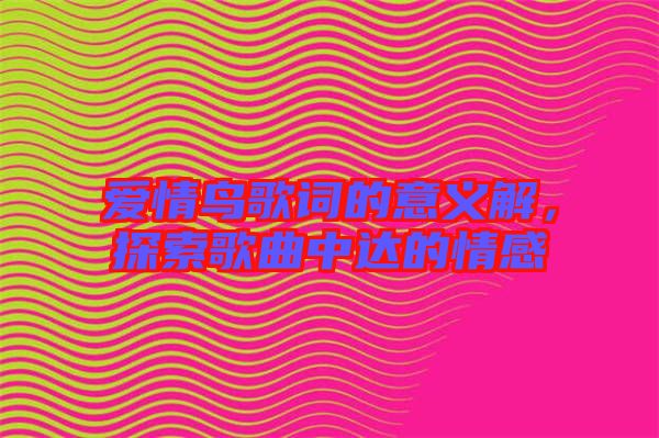 愛情鳥歌詞的意義解，探索歌曲中達的情感