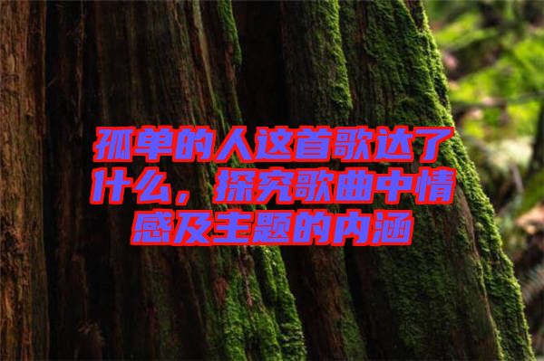 孤單的人這首歌達(dá)了什么，探究歌曲中情感及主題的內(nèi)涵