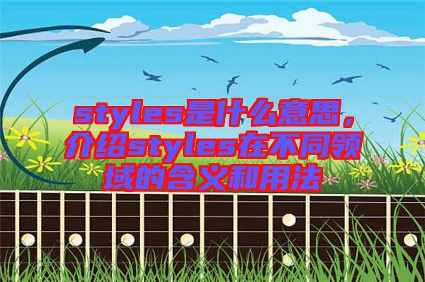 styles是什么意思，介紹styles在不同領(lǐng)域的含義和用法