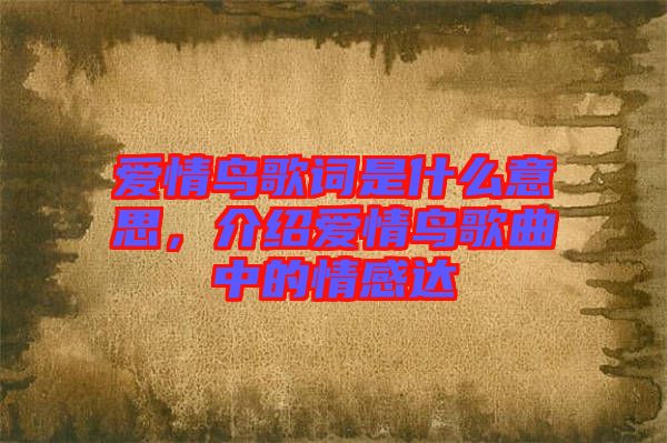 愛情鳥歌詞是什么意思，介紹愛情鳥歌曲中的情感達