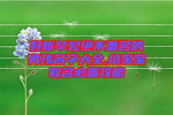 好聽(tīng)罕見(jiàn)絕不重名的男孩名字大全,給寶寶取名必備攻略